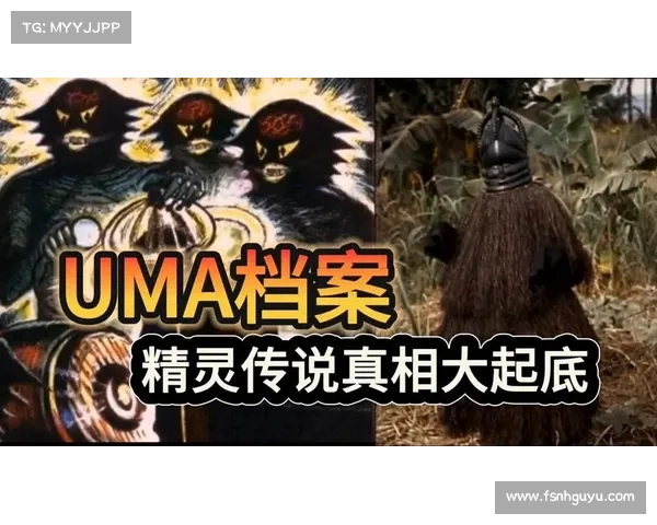精灵传说背后的神秘真相揭示:10个令人惊叹的事实解析 精灵传说背后的神秘真相揭示:10个令人惊叹的事实解析