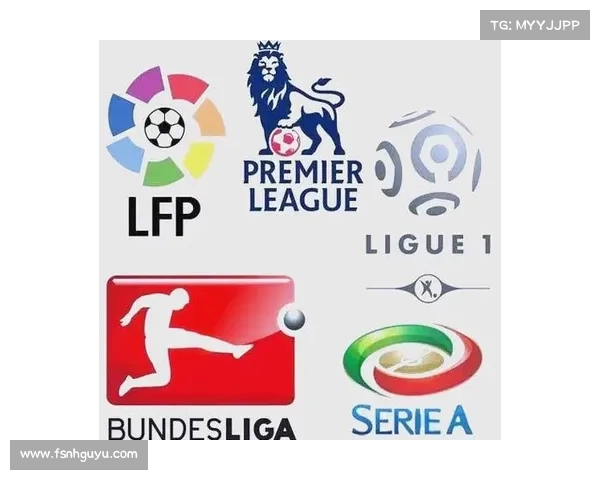 五大联赛各自特色与魅力分析 欧洲足球五大联赛的独特风采与吸引力解析