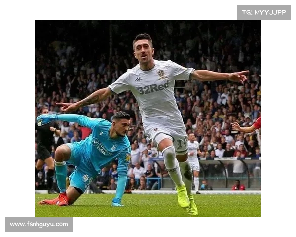 加的夫城在英格兰足球联赛中的五大关键归属因素分析