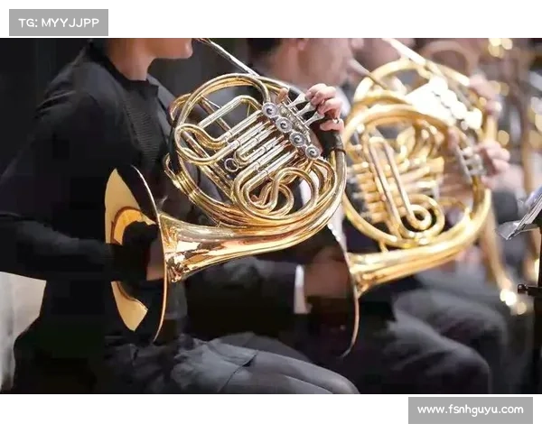 奥运会弓箭比赛规则详解与技巧分析全面指南