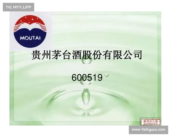 如何全面评估足球俱乐部的财务竞争力与市场表现分析